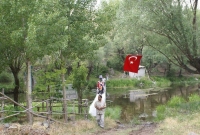 2009 DEVREZ ŞENLİĞİ